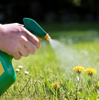 Soud schválil oznámení o navrhovaném urovnání hromadné žaloby pro zemědělce, zahradníky a další osoby vystavené působení herbicidů